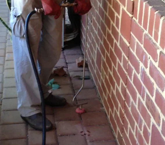 Termite Barriers – Commercial Risks for Pest Management Companies